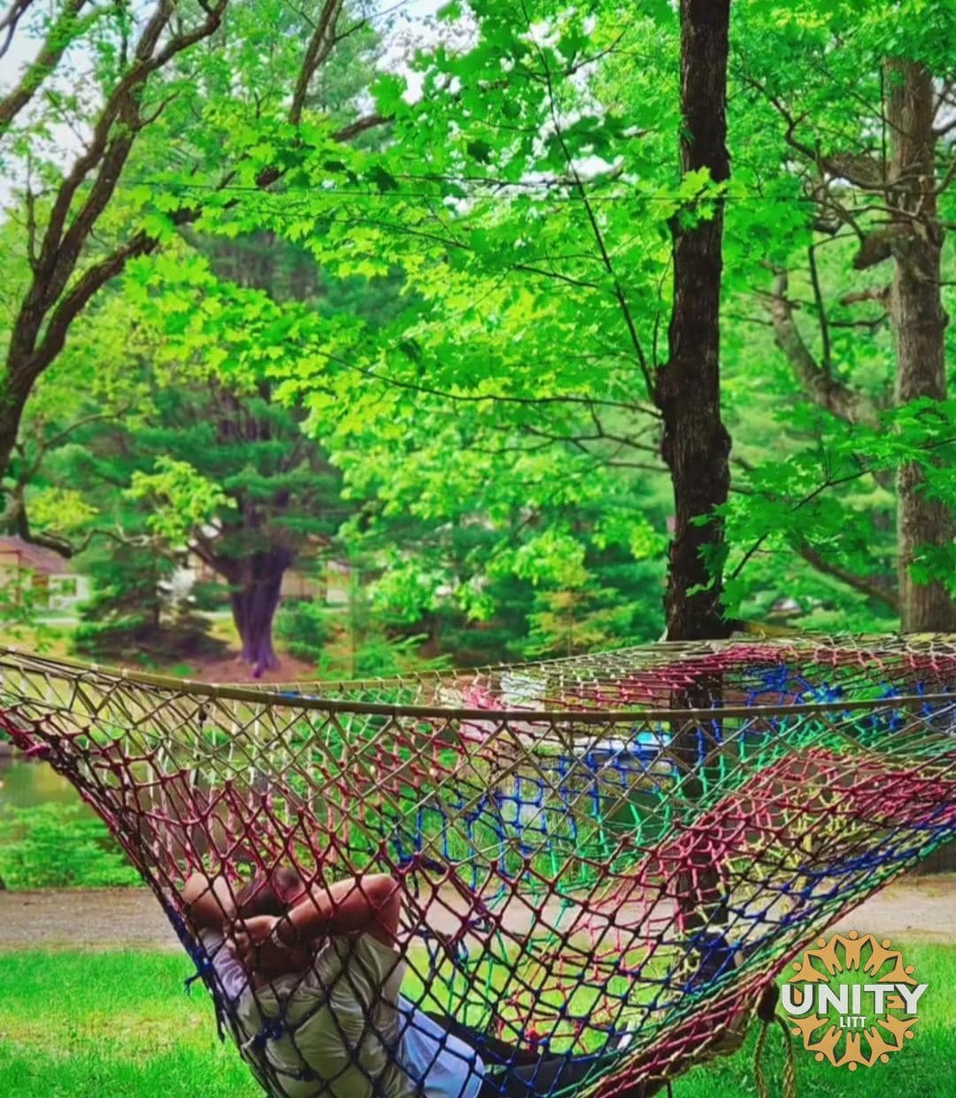 An empty hammock strung between two trees in the green
